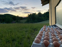 Load image into Gallery viewer, Pasture Raised Brown Eggs

