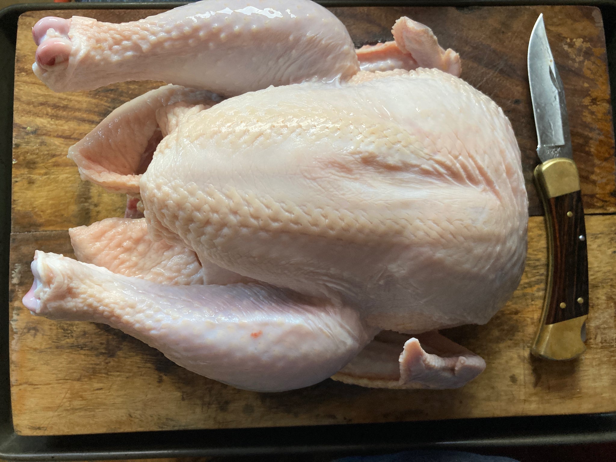 Whole Chicken, Gov't Grade A – Farmingdale Meat Market