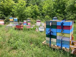 2021 Honey Share